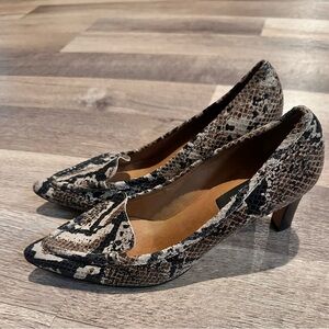 Size 5.5M Ann Taylor Vienna SnakeSkin Pump